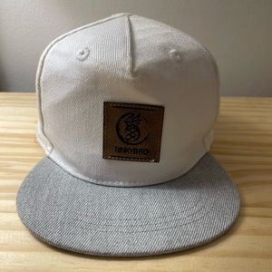 Binky bro SnapBack